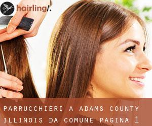 parrucchieri a Adams County Illinois da comune - pagina 1