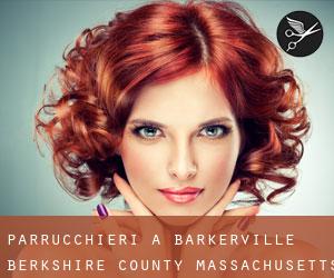 parrucchieri a Barkerville (Berkshire County, Massachusetts)