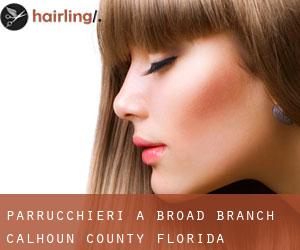 parrucchieri a Broad Branch (Calhoun County, Florida)