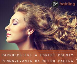 parrucchieri a Forest County Pennsylvania da metro - pagina 1